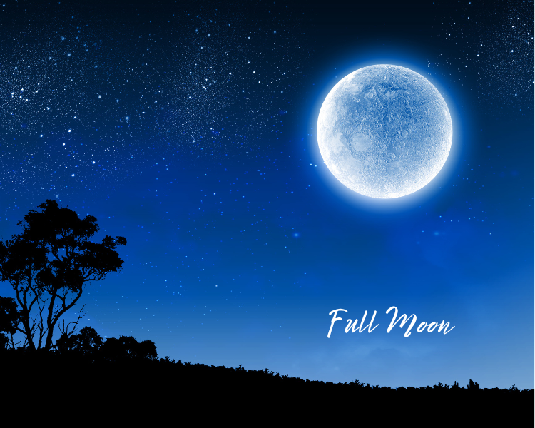 Full Moon Retreat