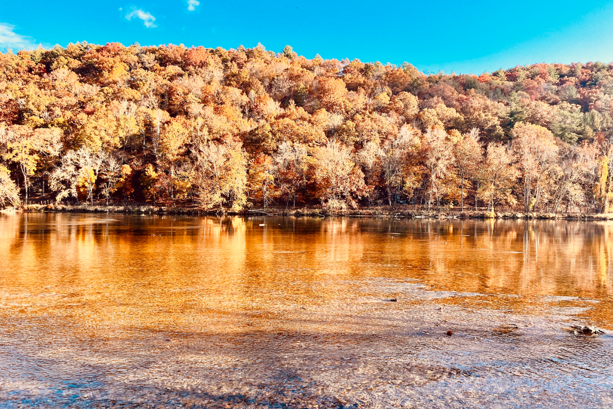 River Bliss