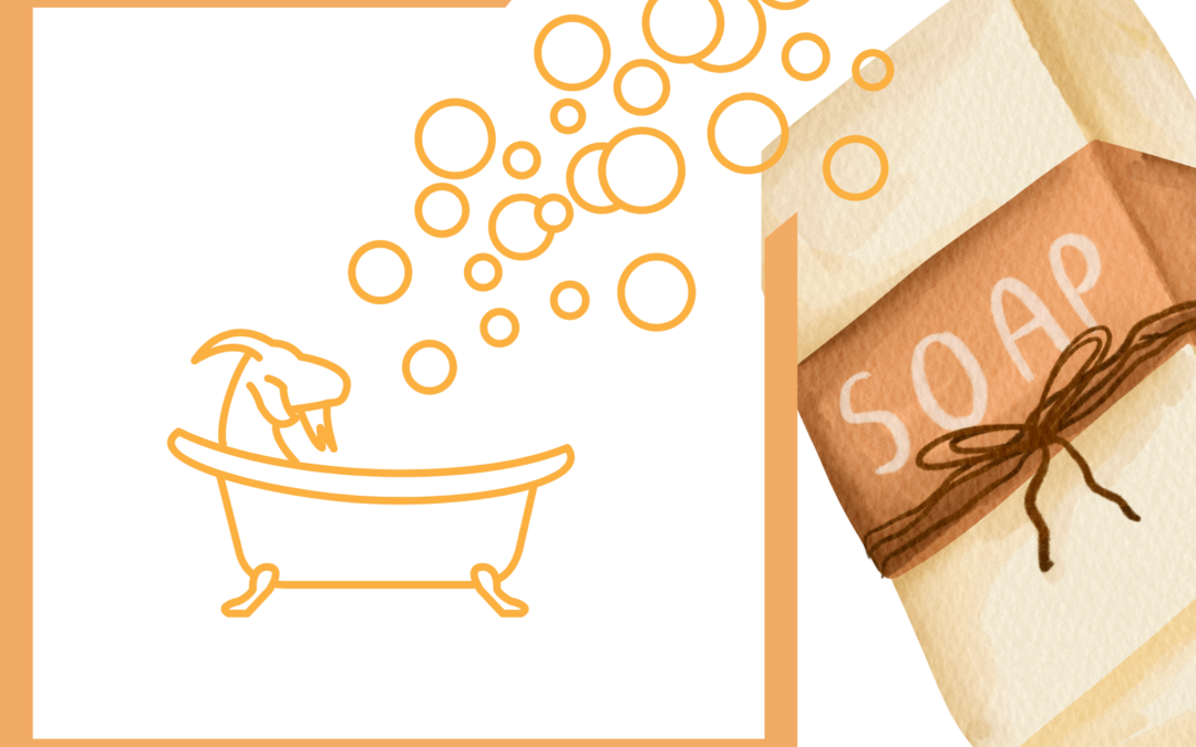 Goat Soap Class; Cozy Connections and Crafting @WoodedBliss