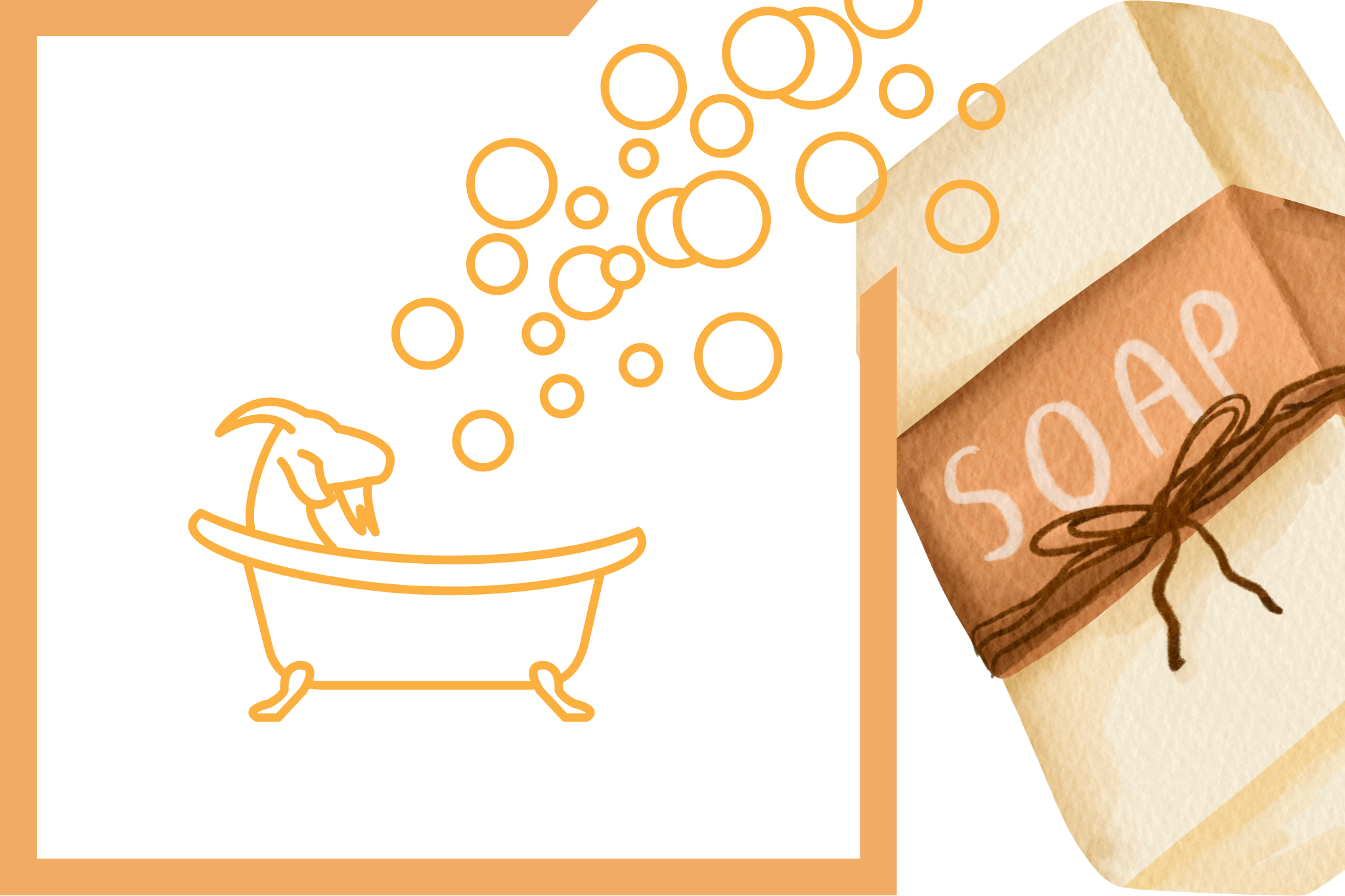 Goat Soap Class